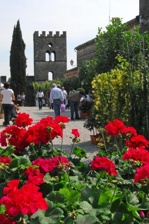 Antica Dimora Dell'Ortolano Apartment Castellaro  ภายนอก รูปภาพ